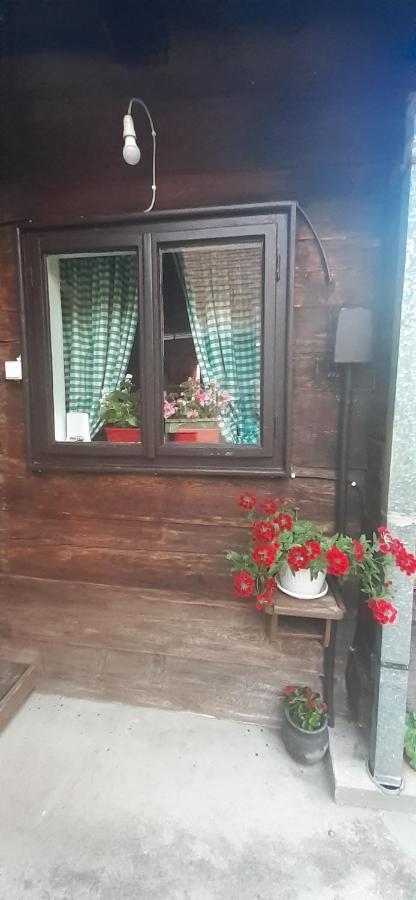 Вилла Kuca Za Odmor Kalina Мокра-Гора Экстерьер фото
